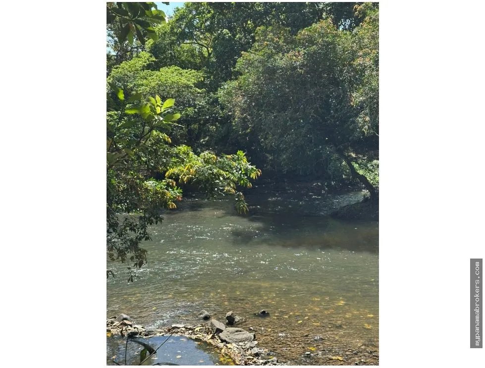 Se vende finca en cañaveral, coclé
