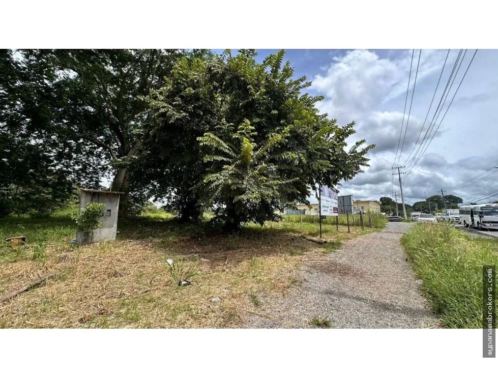 Se vende terreno en david, chiriquí