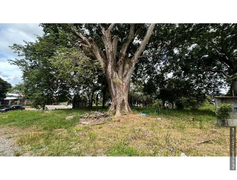 Se vende terreno en david, chiriquí