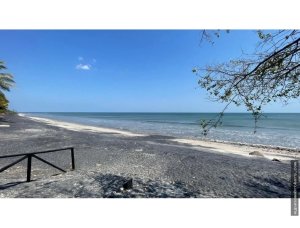 142588 - San carlos - lots - casamar