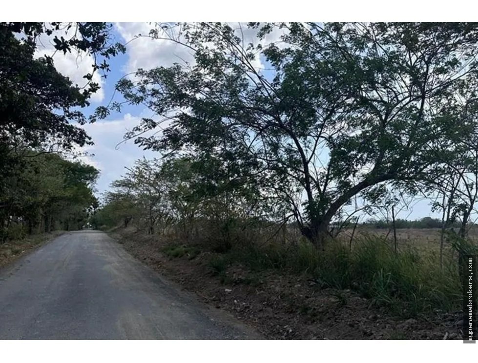 Se vende finca frente a la panamericana en antón, coclé