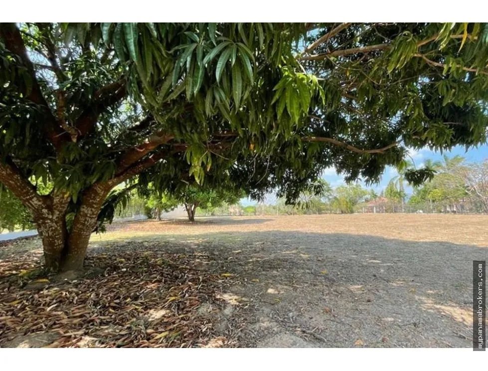 Se vende lote en club de golf, coronado, chame