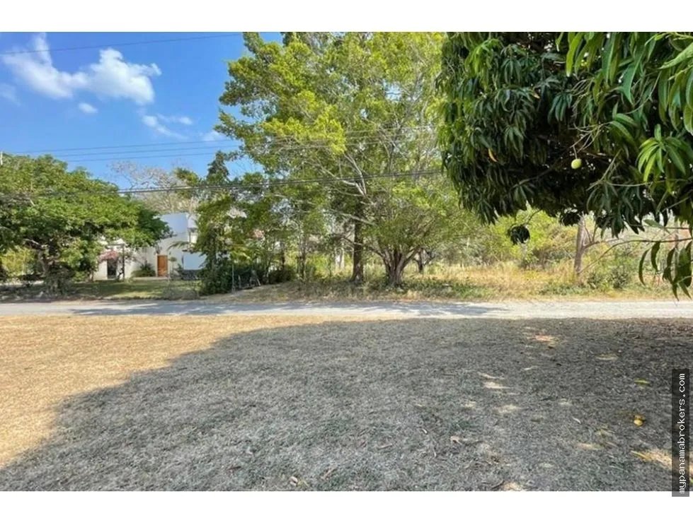 Se vende lote en club de golf, coronado, chame