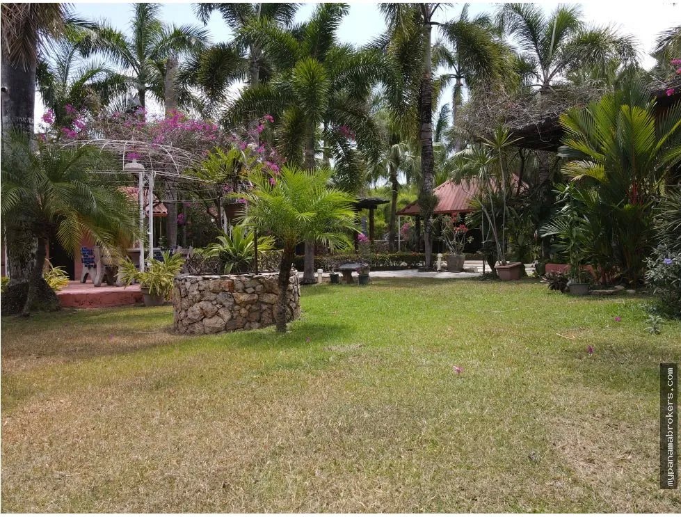 Se vende casa con plantación en nueva gorgona, chame