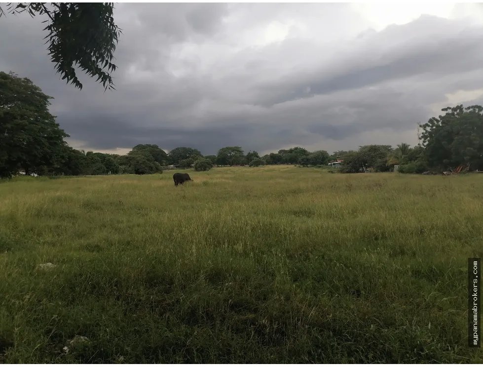 Se vende terreno en chitré