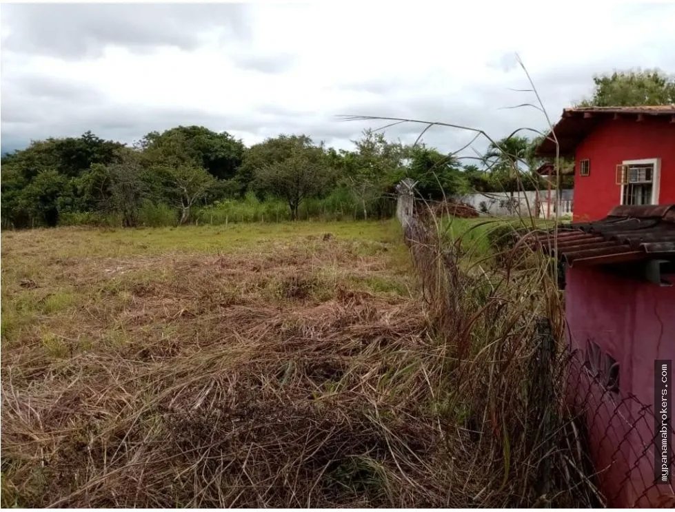 Se vende lote en la florenciana, chame