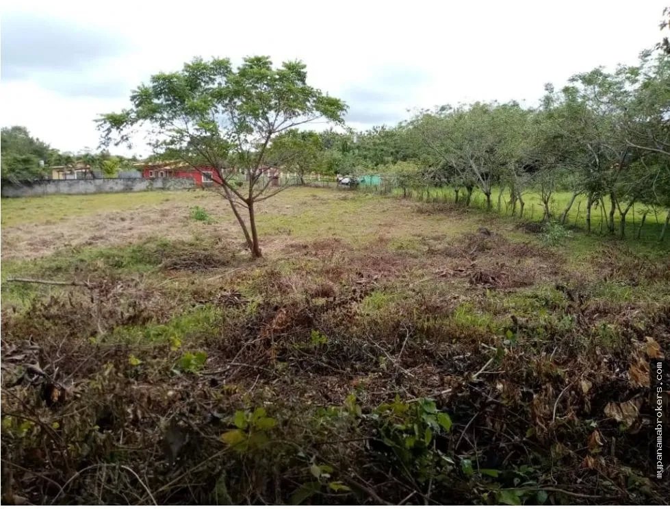 Se vende lote en la florenciana, chame