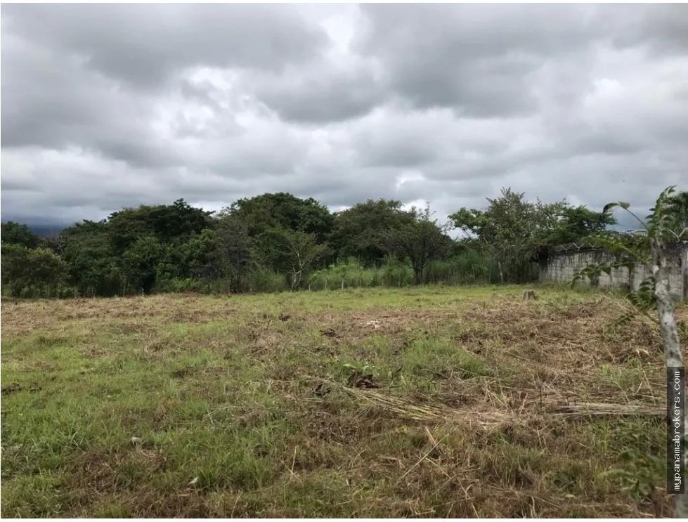 Se vende lote en la florenciana, chame