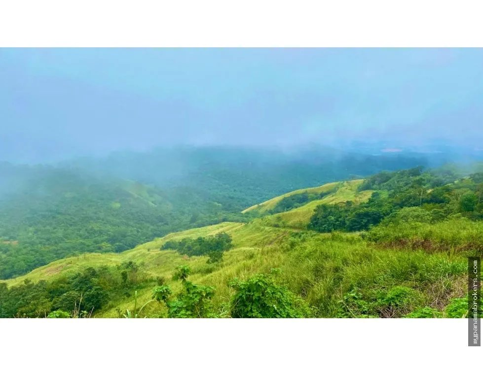 Se venden hectáreas en cerro azul