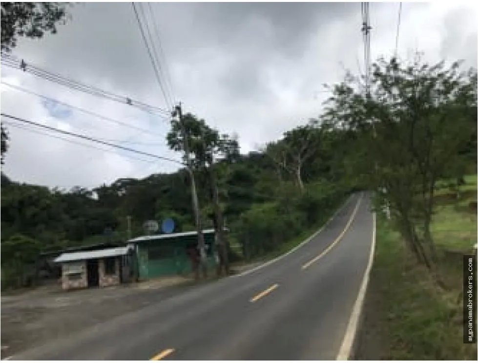 Se venden hectáreas en cerro azul