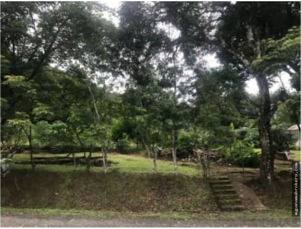 Se venden hectáreas en cerro azul