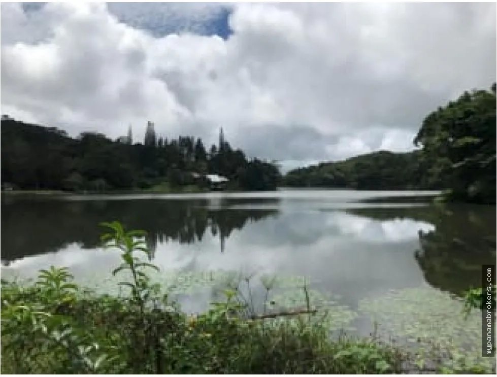 Se venden hectáreas en cerro azul