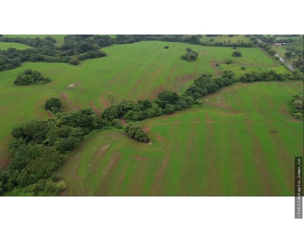 Venta de finca en pedasí, los santos