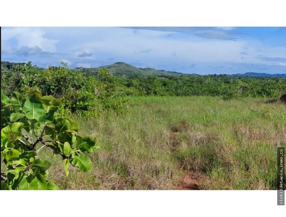 Se venden hectáreas en los pozos antón, coclé