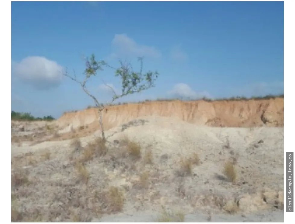 Se venden hectáreas en los pozos antón, coclé