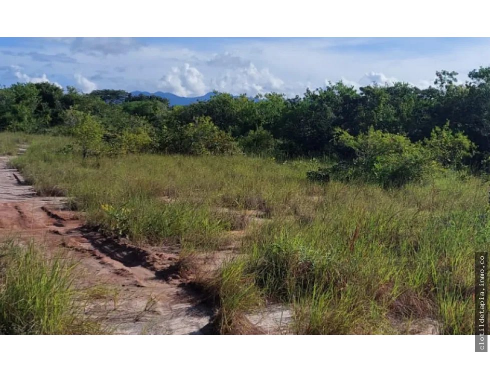 Se venden hectáreas en los pozos antón, coclé