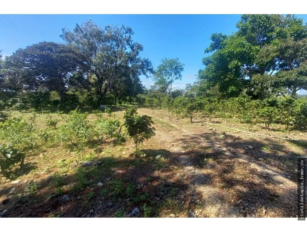 Se vende finca cafetera en alto boquete, chiriquí