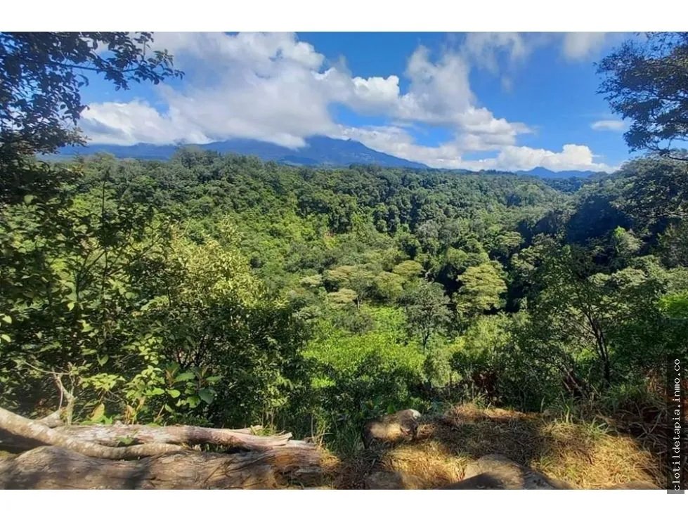 Se vende finca cafetera en alto boquete, chiriquí