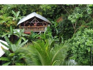 142713 - Bocas del Toro - investments