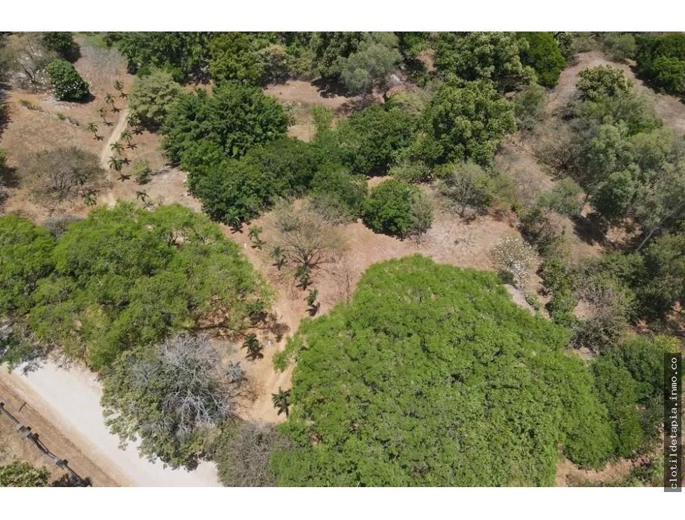 Se vende finca en las lagartijas, san carlos