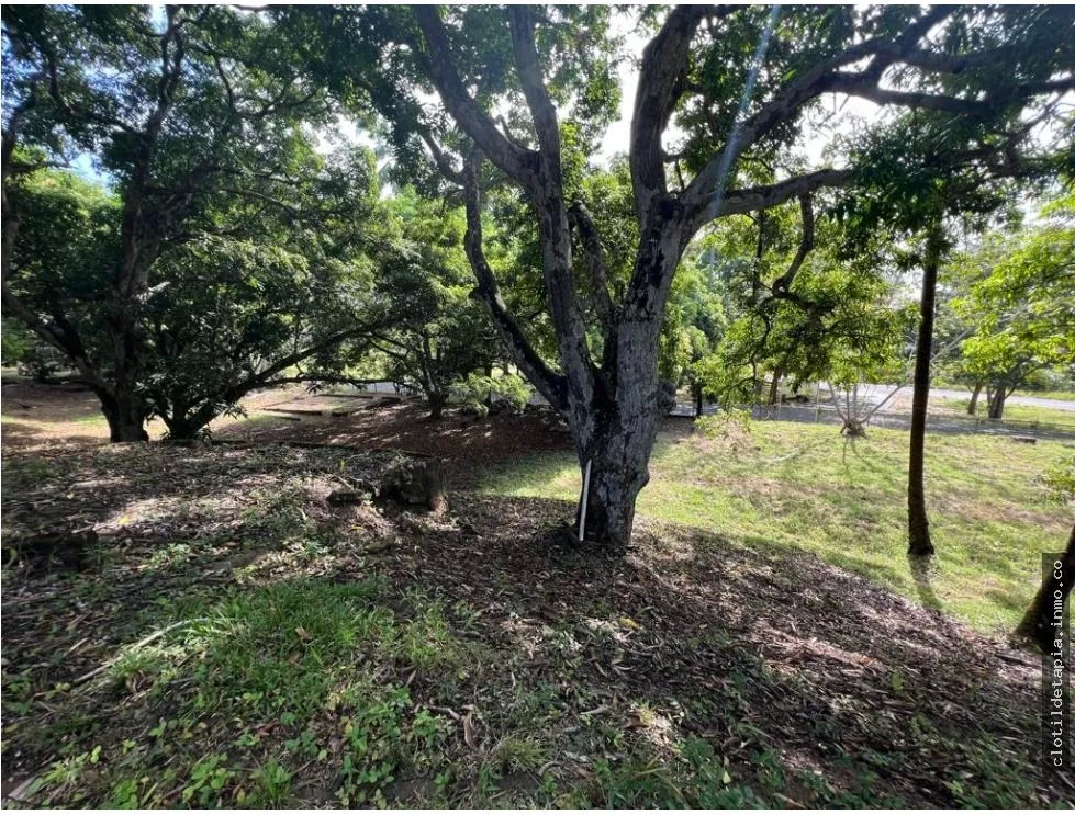 Se vende lote en albrook, ancón