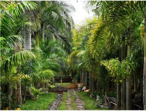 142742 - Chame - houses - villas del pacifico