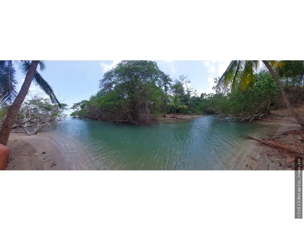 Se venden hectáreas en santa isabel, colón