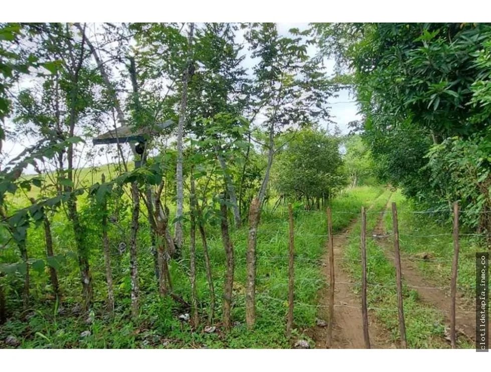 Se vende terreno en río chico, pacora