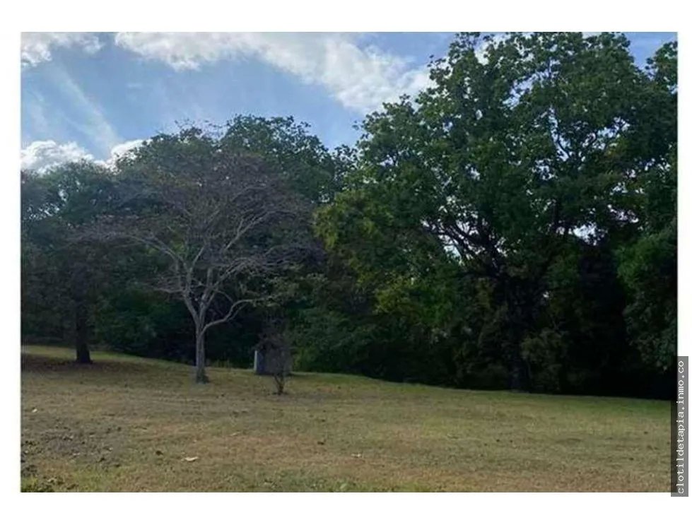 Se vende finca de 12 hectáreas en rodeo viejo, san carlos