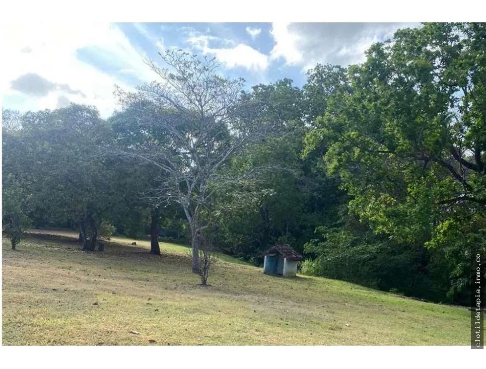 Se vende finca de 12 hectáreas en rodeo viejo, san carlos