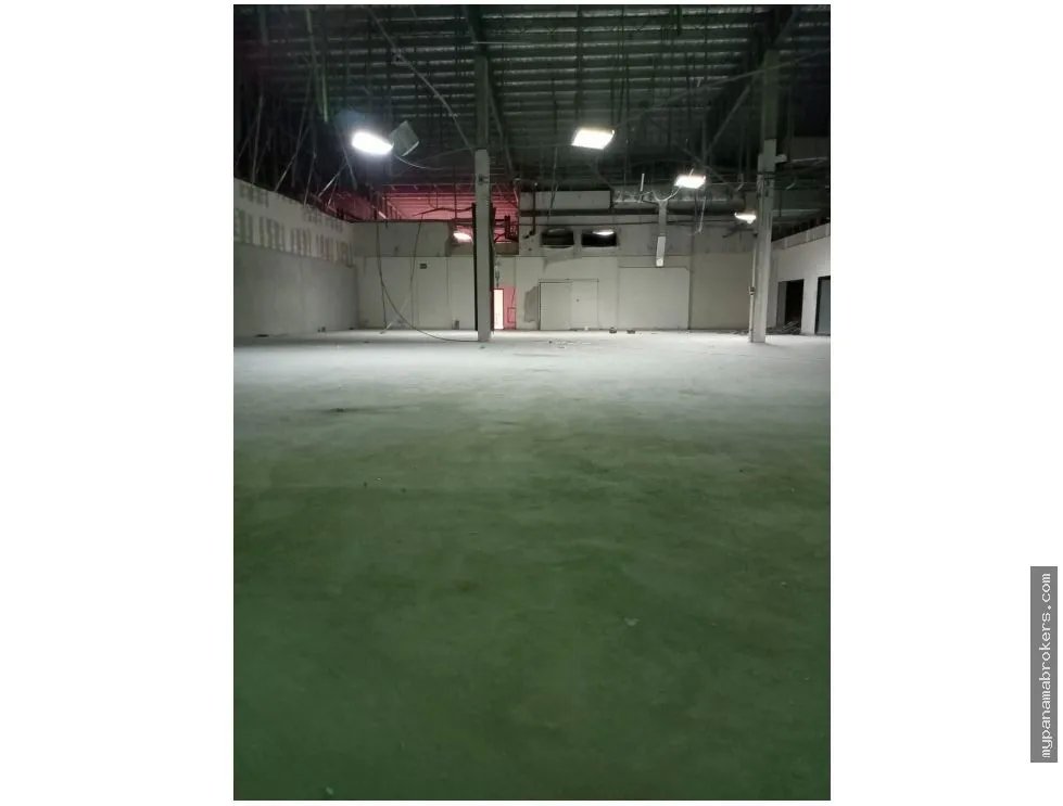Alquiler de local comercial en plaza agora, chanis, panamá