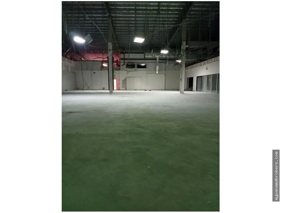 Alquiler de local comercial en plaza agora, chanis, panamá