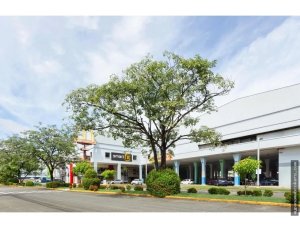 142927 - Parque lefevre - commercials - ph arenas park