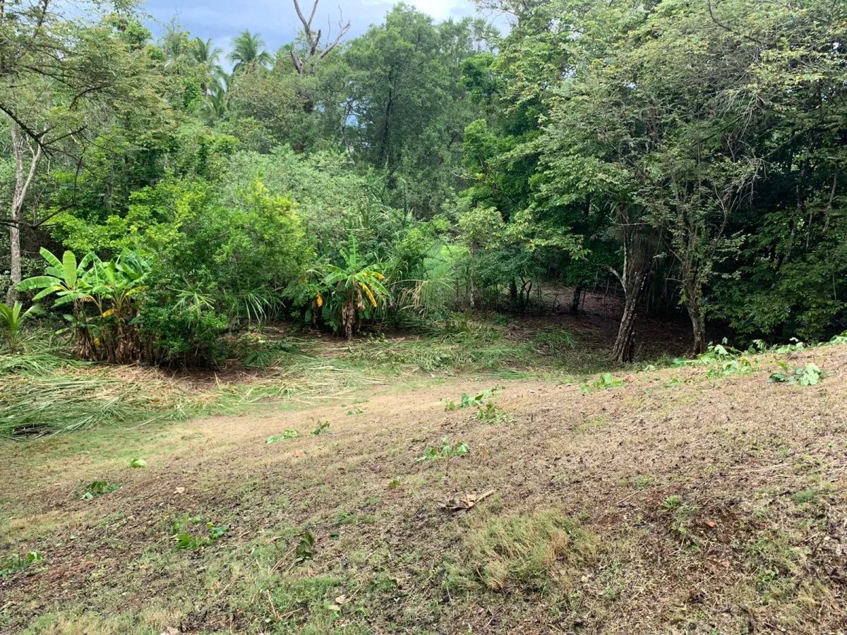 Lote de Casa en Venta en Santa Catalina