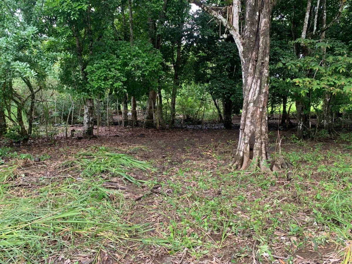 Lote de Casa en Venta en Santa Catalina