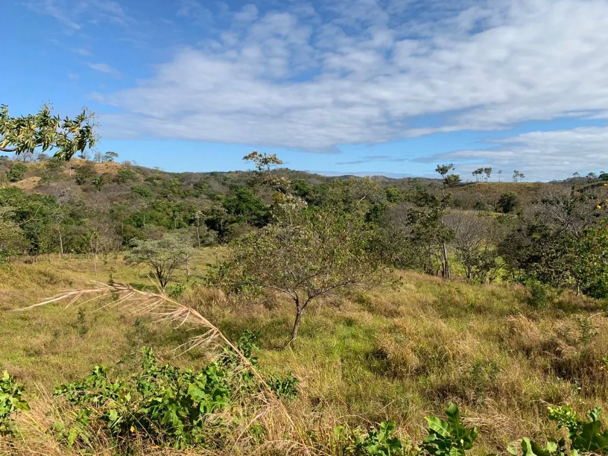 Terreno/Granja en Venta en Santa Catalina
