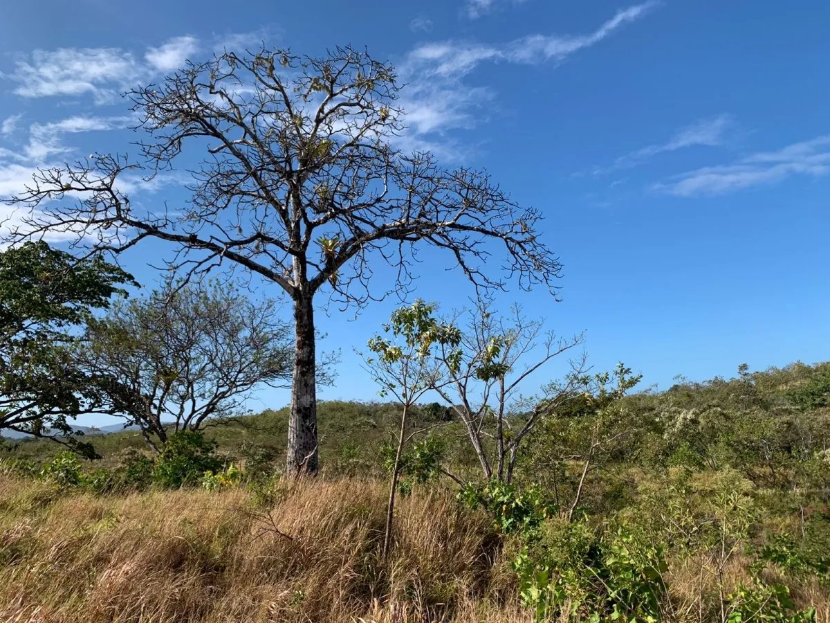 Terreno/Granja en Venta en Santa Catalina