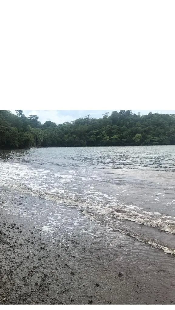 Terreno/Granja en Venta en Veraguas