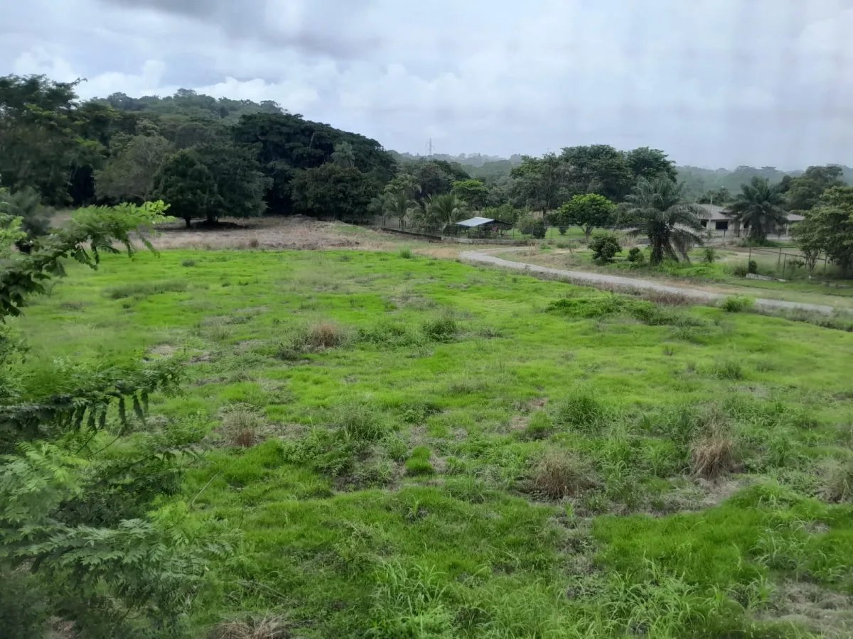 Multi-family house or AirBnB in best location