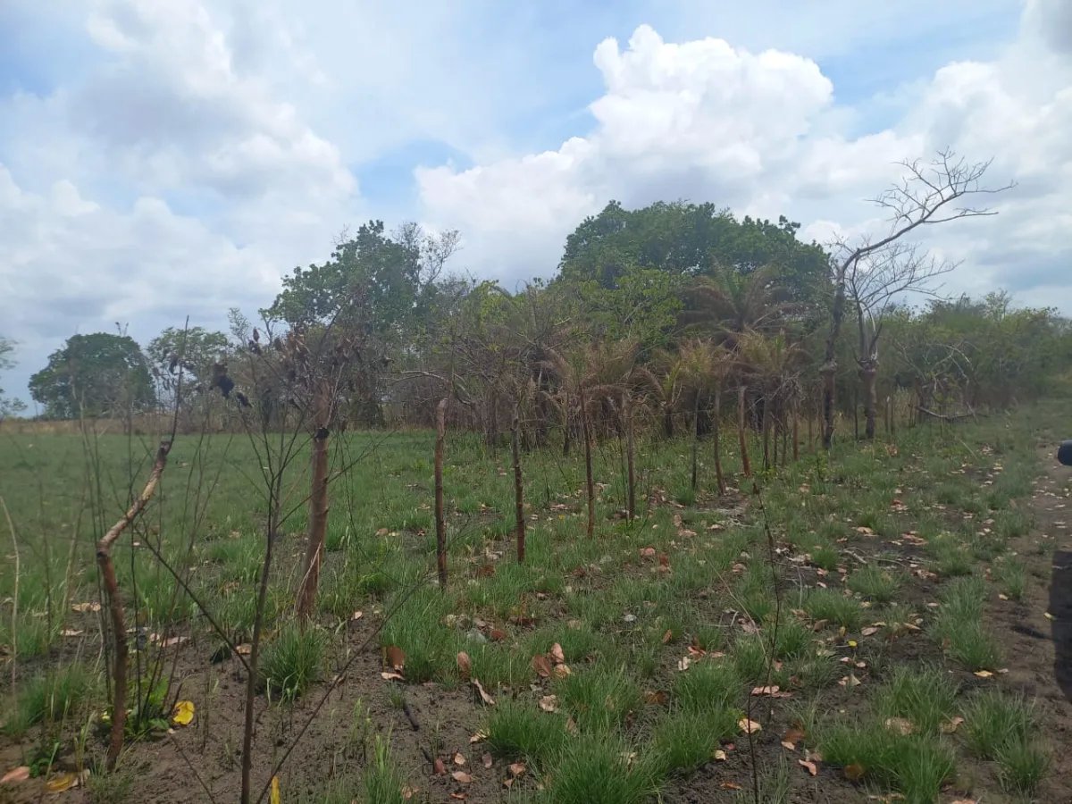 Venta de terreno en Antón