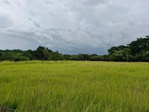 143000 - San antonio - lots - altos de las praderas