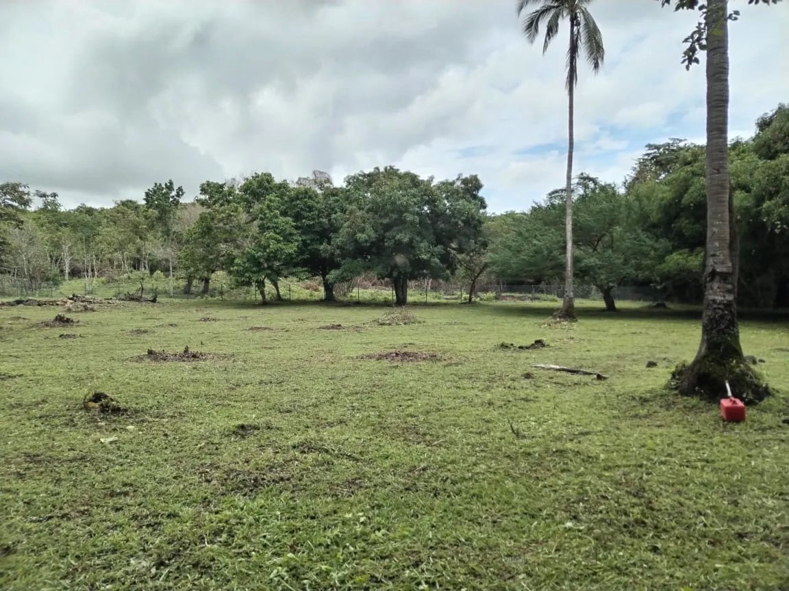 Venta de terreno en Antón