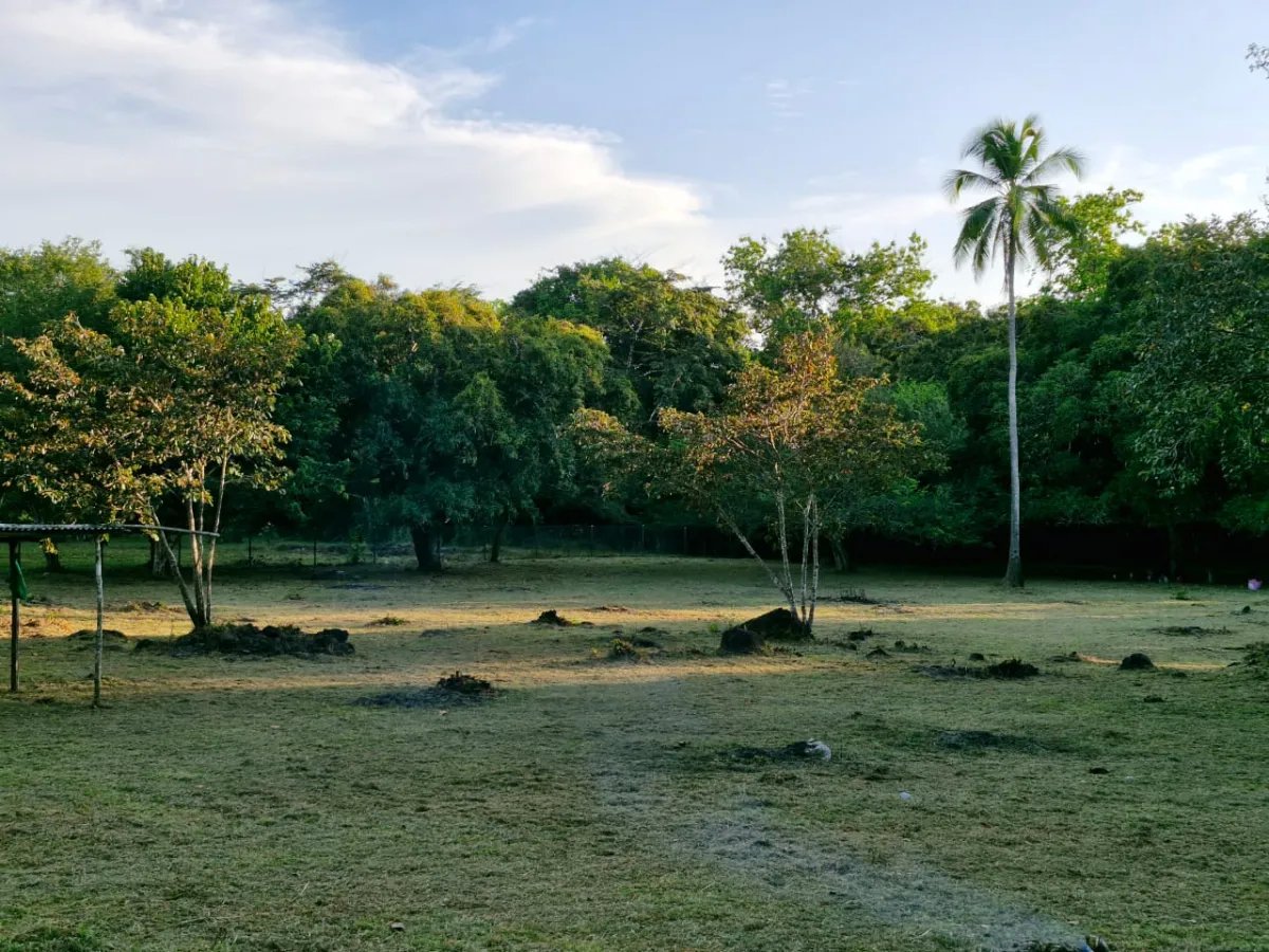 Venta de terreno en Antón