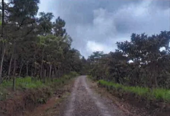 Lote a la Venta