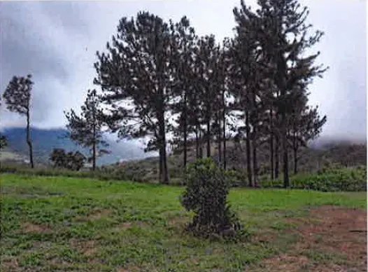 Lote a la Venta
