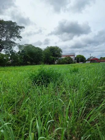 VENTA DE TERRENO EN HERRERA, CHITRE AREA COMERCIAL