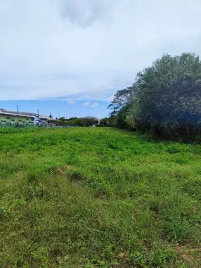 VENTA DE TERRENO EN HERRERA, CHITRE AREA COMERCIAL