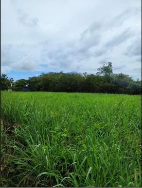VENTA DE TERRENO EN HERRERA, CHITRE AREA COMERCIAL