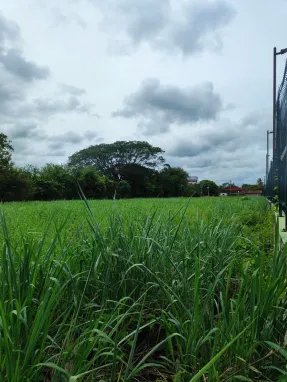 VENTA DE TERRENO EN HERRERA, CHITRE AREA COMERCIAL