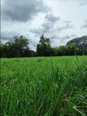 VENTA DE TERRENO EN HERRERA, CHITRE AREA COMERCIAL